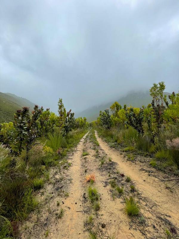 0 Bedroom Property for Sale in Tsitsikamma Eastern Cape